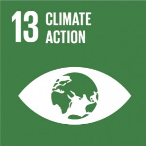 Climate Action (SDG 13)